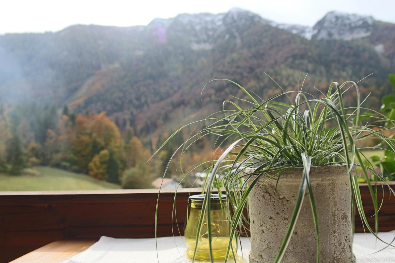 인젤 Kienberghof 아파트 외부 사진